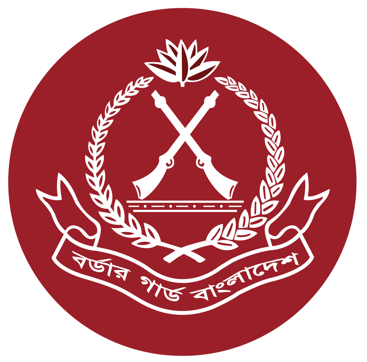 ১২ প্লাটুন বিজিবি মোতায়েন