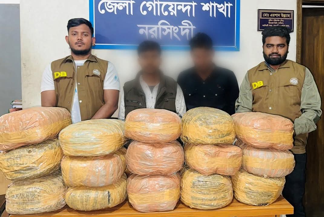 নরসিংদীতে ডিবির অভিযানে ৩০ কেজি গাঁজাসহ দুই মাদক ব্যবসায়ী গ্রেপ্তার