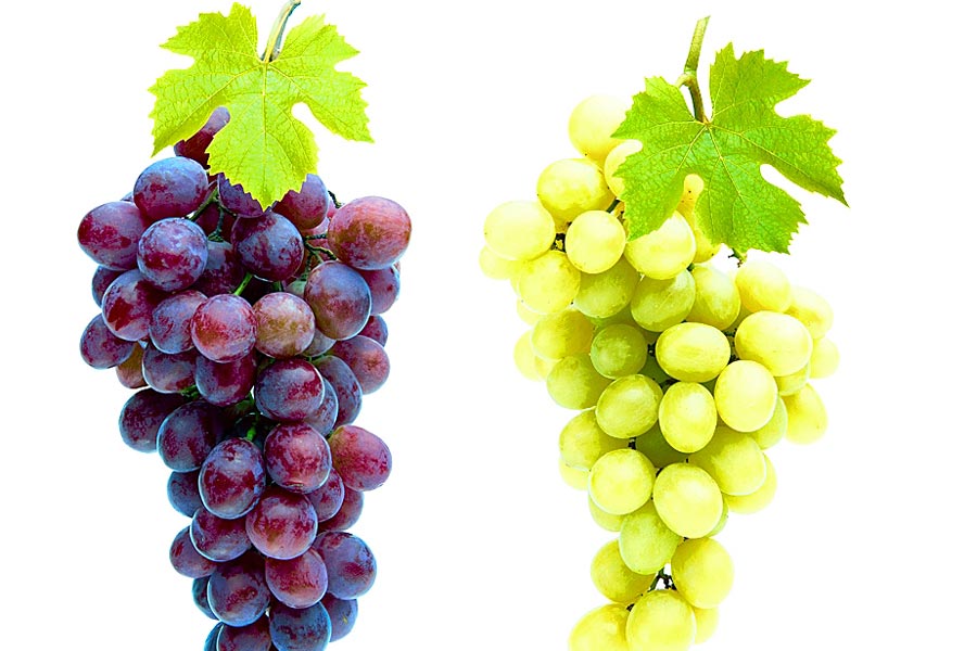 কিডনি পরিষ্কার রাখা থেকে শুরু করে ইউরিক অ্যাসিড কমাতে আঙ্গুরের বিস্ময়কর ক্ষমতা