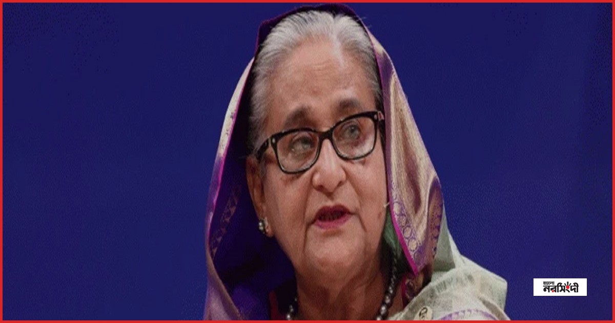 ডিসেম্বরে দেশে ফিরে আদালতে আত্মসমর্পণের পরিকল্পনা শেখ হাসিনার