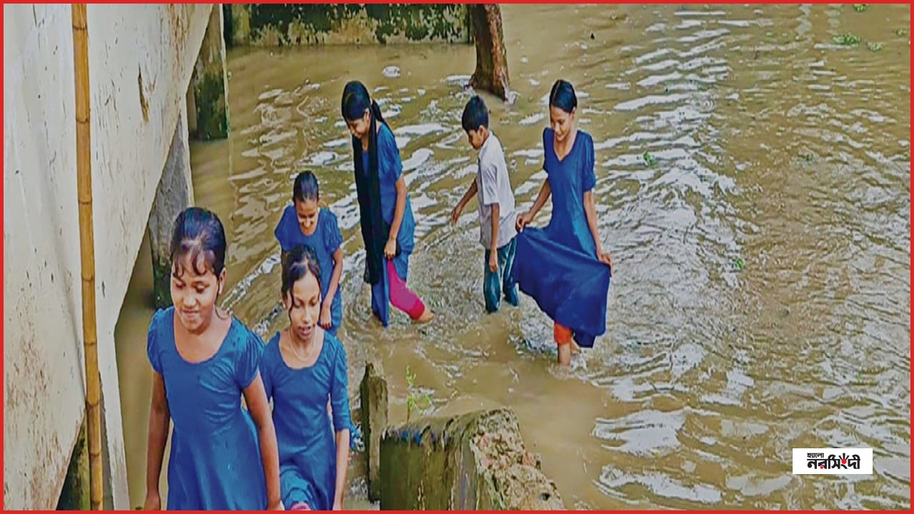 নিকলীতে পুকুর ভরাট, হাঁটুসমান পানি মাড়িয়ে স্কুলে যাচ্ছে শিক্ষার্থীরা