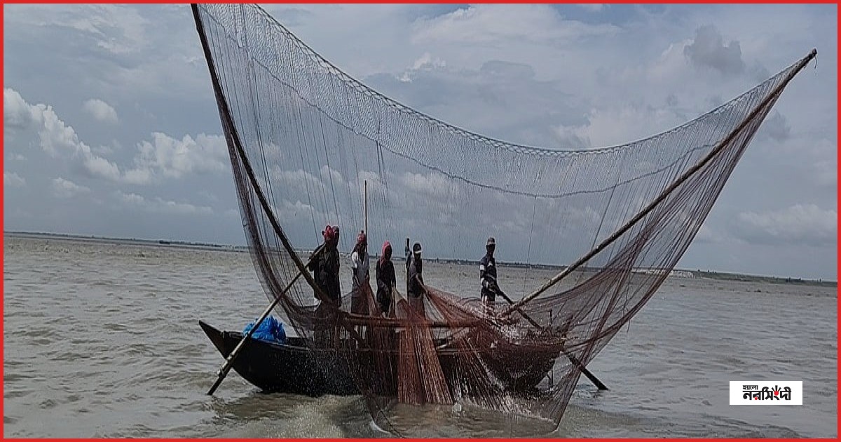 শরীয়তপুরের পদ্মায় ইলিশ শিকারের দৃশ্য
