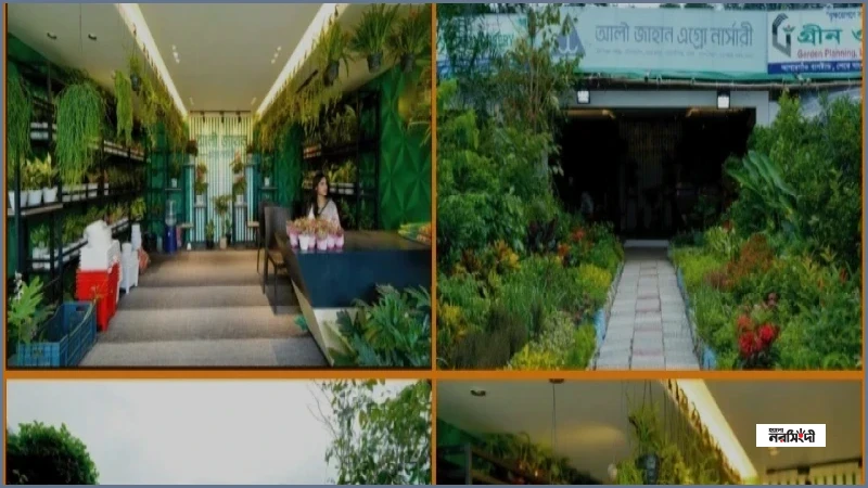 জাতীয় বৃক্ষমেলায় নজর কাড়ছে আলী-জাহান অ্যাগ্রো নার্সারির বৈচিত্র্যময় সংগ্রহ