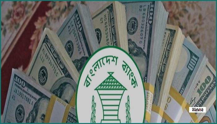 জুলাইয়ের ২৯ দিনে ২৭১ কোটি ডলার রেমিট্যান্স পেল বাংলাদেশ