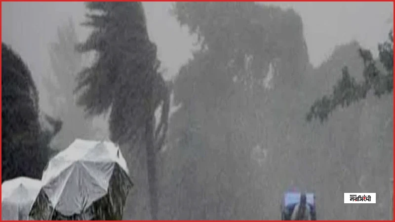 দেশের সব বিভাগে বৃষ্টির পূর্বাভাস, জানাল আবহাওয়া অধিদপ্তর