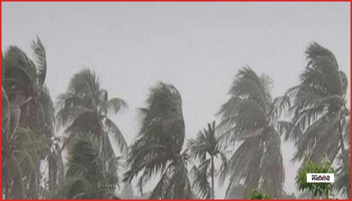 দেশের ৮ জেলায় দুপুরের মধ্যে ঝোড়ো হাওয়াসহ বৃষ্টির পূর্বাভাস