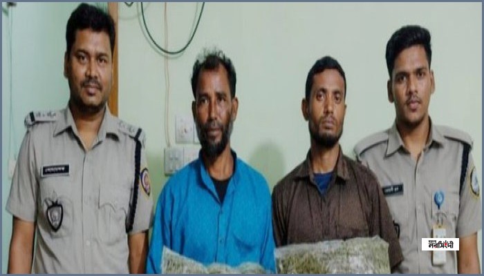রংপুরে কোমরে স্কচটেপে পেঁচানো ৪ কেজি গাঁজাসহ গ্রেফতার ২