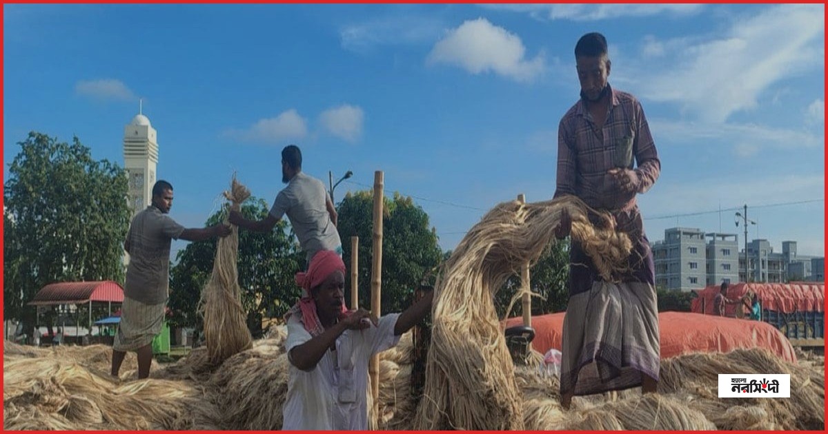 শিবচরে পাটের বাম্পার ফলন, ভালো দামে হাসি কৃষকের মুখে