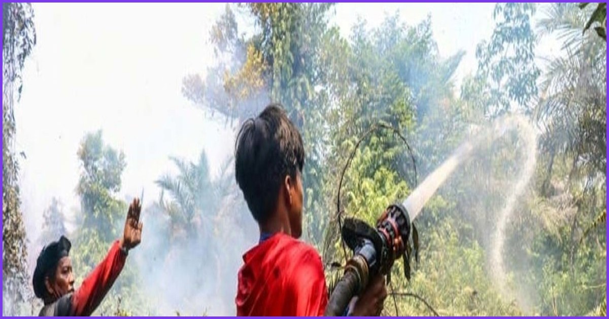 ইন্দোনেশিয়ার দাবানল নিয়ন্ত্রণে সুপারম্যান সেজে কিশোরের লড়াই