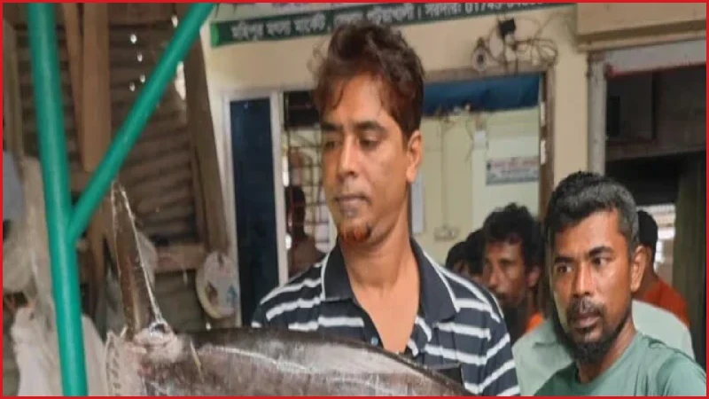 কুয়াকাটার সমুদ্রে জেলের জালে ধরা পড়ল বিরল স্লেন্ডার সানফিশ