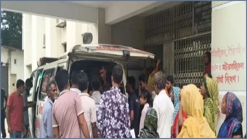 ঝিনাইদহে ঘাস কাটার মেশিনে বিদ্যুৎস্পৃষ্ট হয়ে স্বামী-স্ত্রীর মৃত্যু