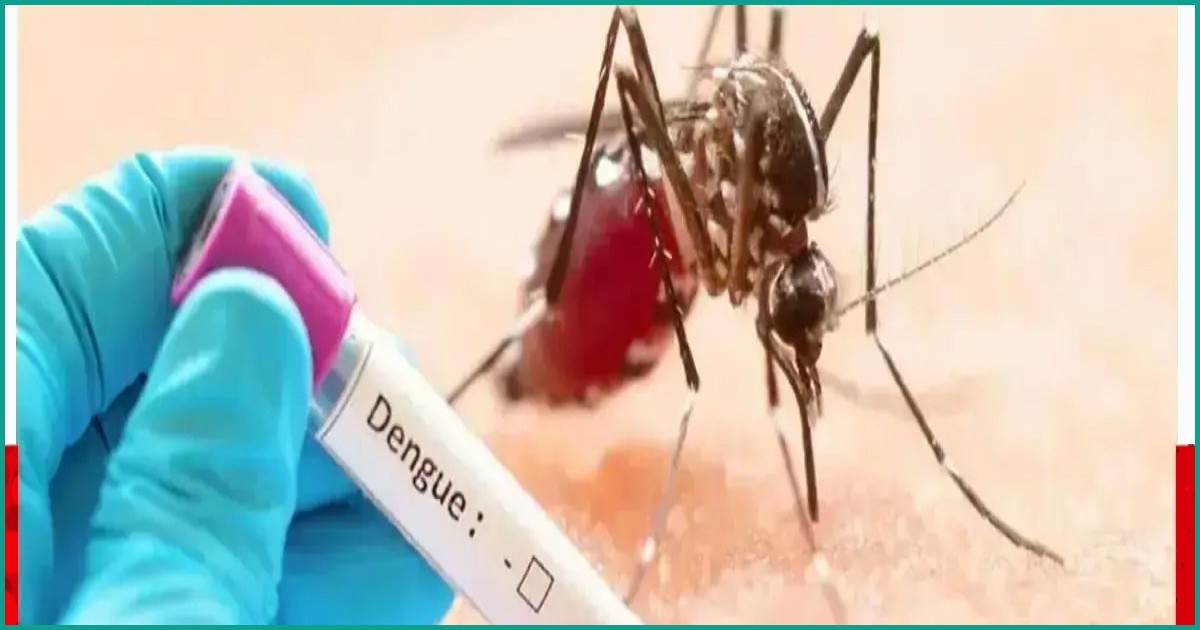 ডেঙ্গুতে ২৪ ঘণ্টায় মৃত্যু ৩, রেকর্ড ৯৯৪ জন হাসপাতালে ভর্তি