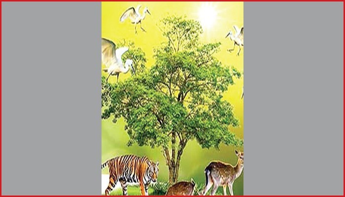 প্রাণীর সুরক্ষায় ইসলাম যা বলে: কোরআন ও হাদিসের নির্দেশনা