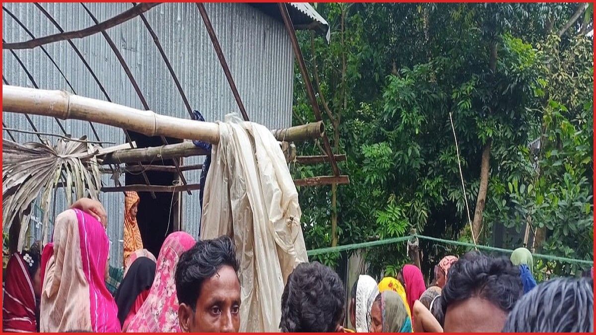 ফরিদপুরের সালথায় সাপের কামড়ে নারী ও শিশুর মৃত্যু