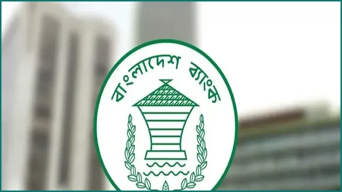 বড় ঋণগ্রহীতাদের ১৫ বছরের বিশেষ পুনঃতফসিল সুবিধা দিল বাংলাদেশ ব্যাংক
