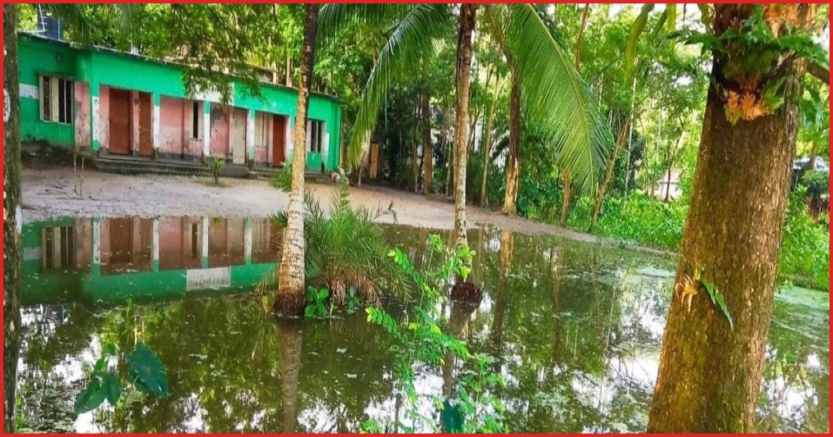 বর্ষায় জলাবদ্ধতায় চরম ভোগান্তিতে বাবুগঞ্জের পশ্চিম রাজগুরু প্রাথমিক বিদ্যালয়