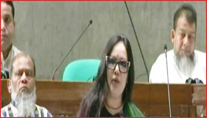 সংসদে দেশের পরিস্থিতি নিয়ে ব্যারিস্টার রুমিন ফারহানার কঠোর সমালোচনা