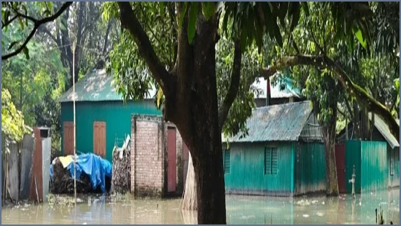 উজানের ঢলে পদ্মায় পানি বৃদ্ধি, চাঁপাইনবাবগঞ্জে পানিবন্দী ২ হাজার পরিবার