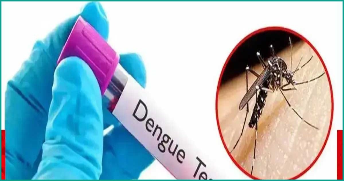 ডেঙ্গুতে আরও ৪ মৃত্যু, নতুন রোগী ১৩১৪ জন